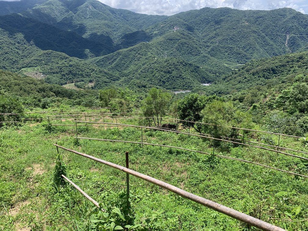 大漢山休閒農場屏東縣春日鄉