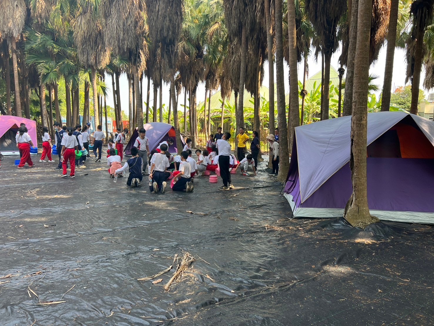烏樹林鴻盛露營區臺南市後壁區
